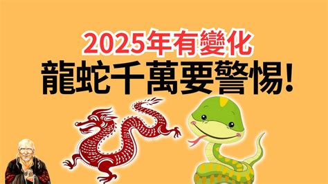 2025年運勢|2025年，12生肖運勢詳解